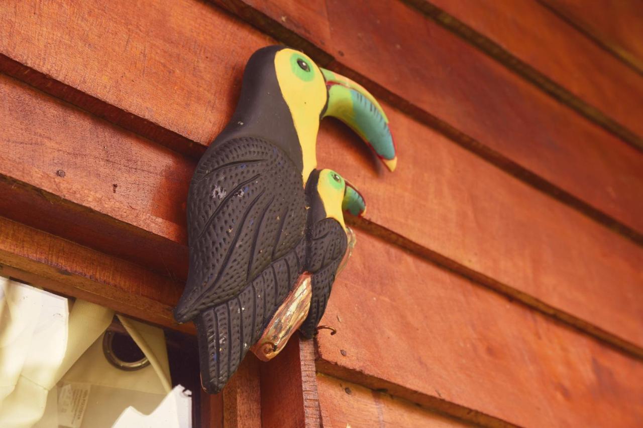 Pacuare Mountain Lodge Tres Equis المظهر الخارجي الصورة