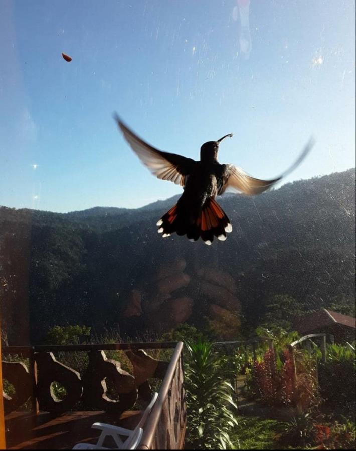 Pacuare Mountain Lodge Tres Equis المظهر الخارجي الصورة